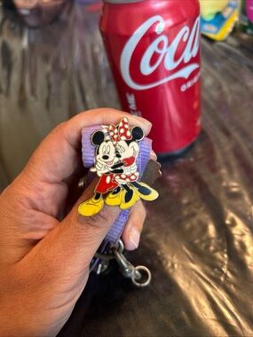 Mickey and minnie pin